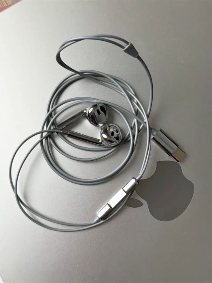 Chrome Wired Earbuds